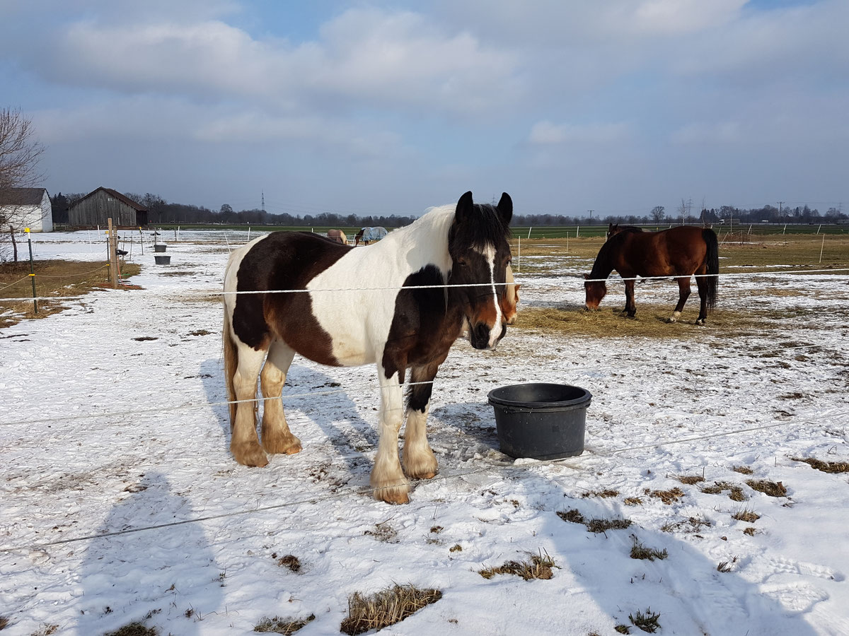 2018/2019 – Bild 1
