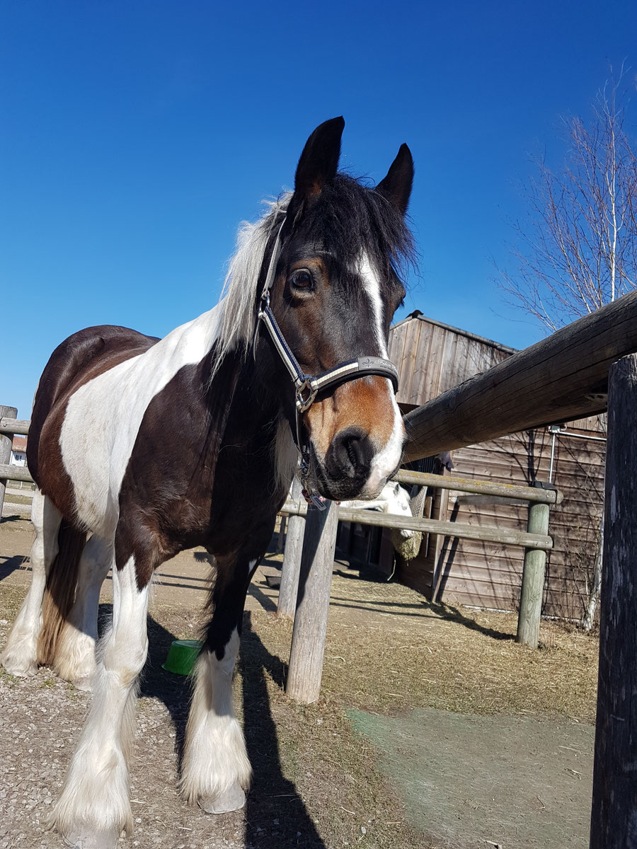 2018/2019 – Bild 2