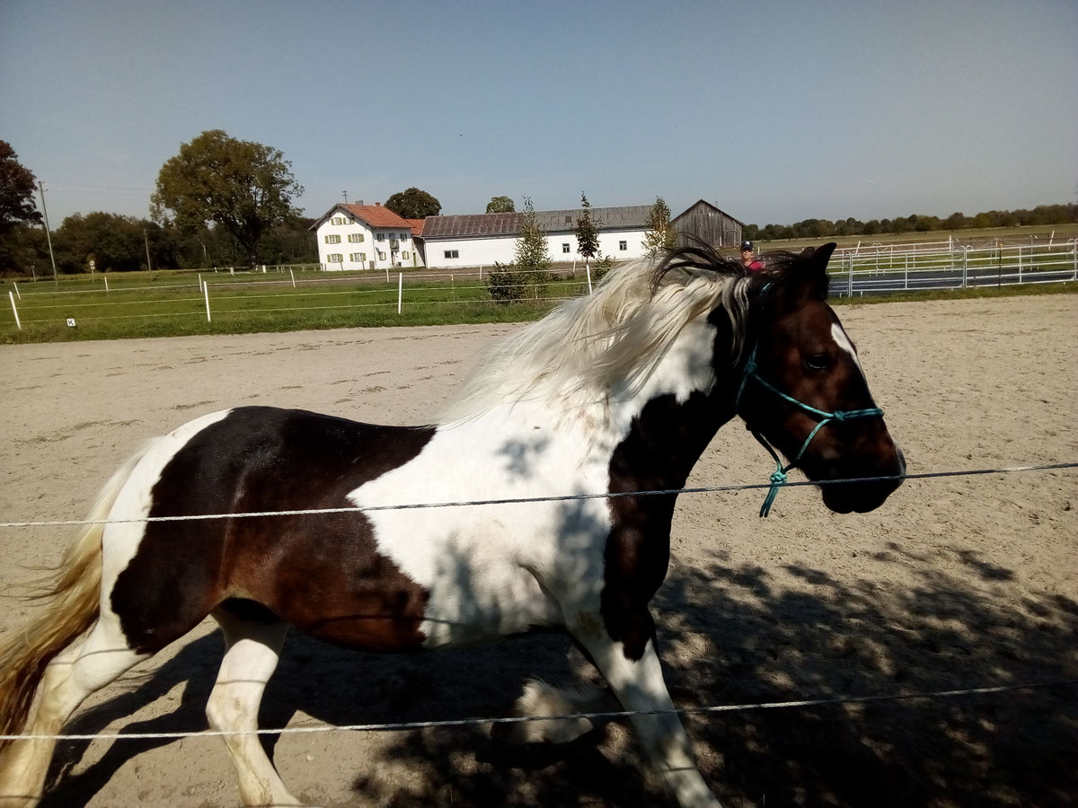 2018/2019 – Bild 3