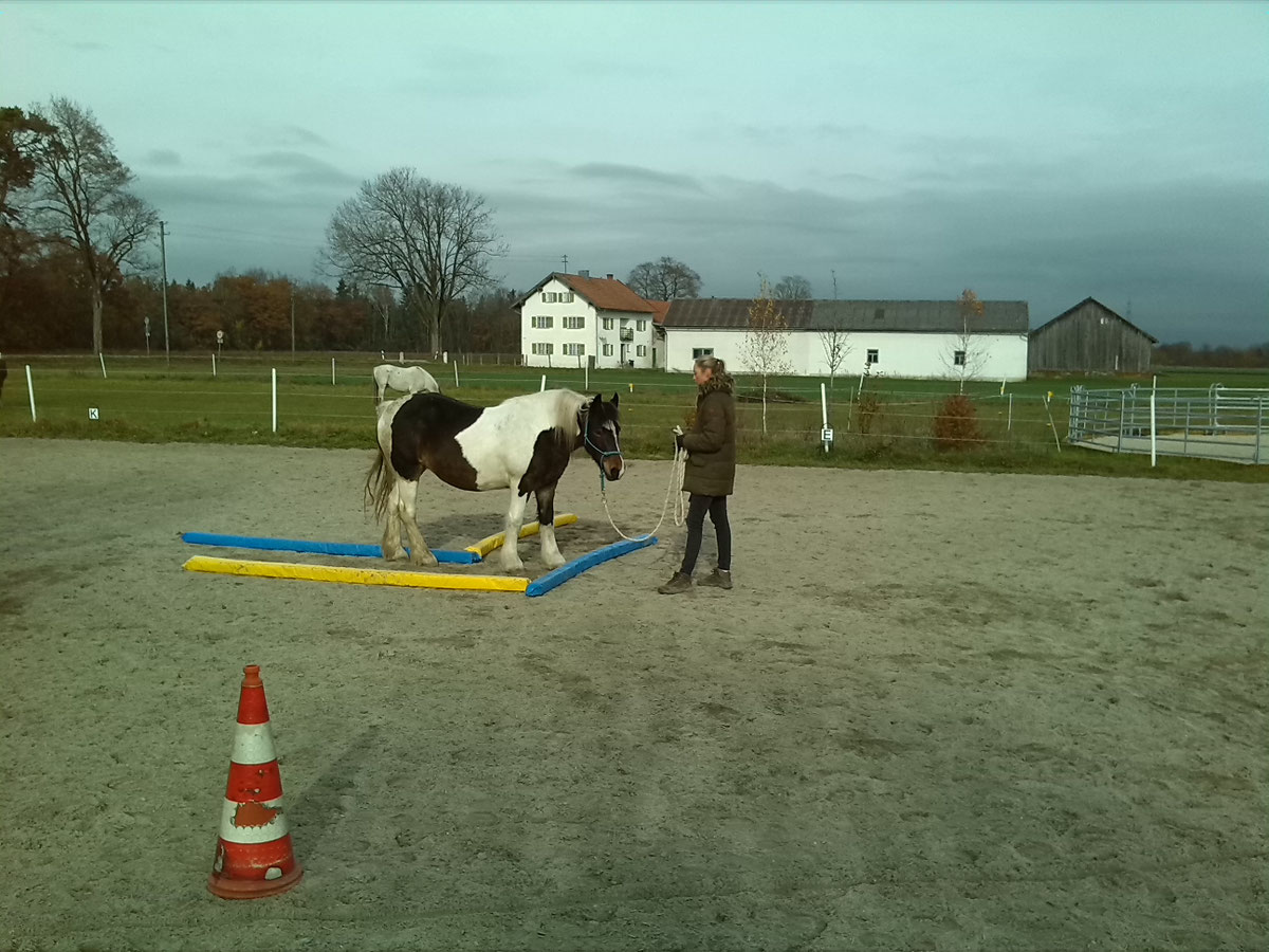2018/2019 – Bild 4