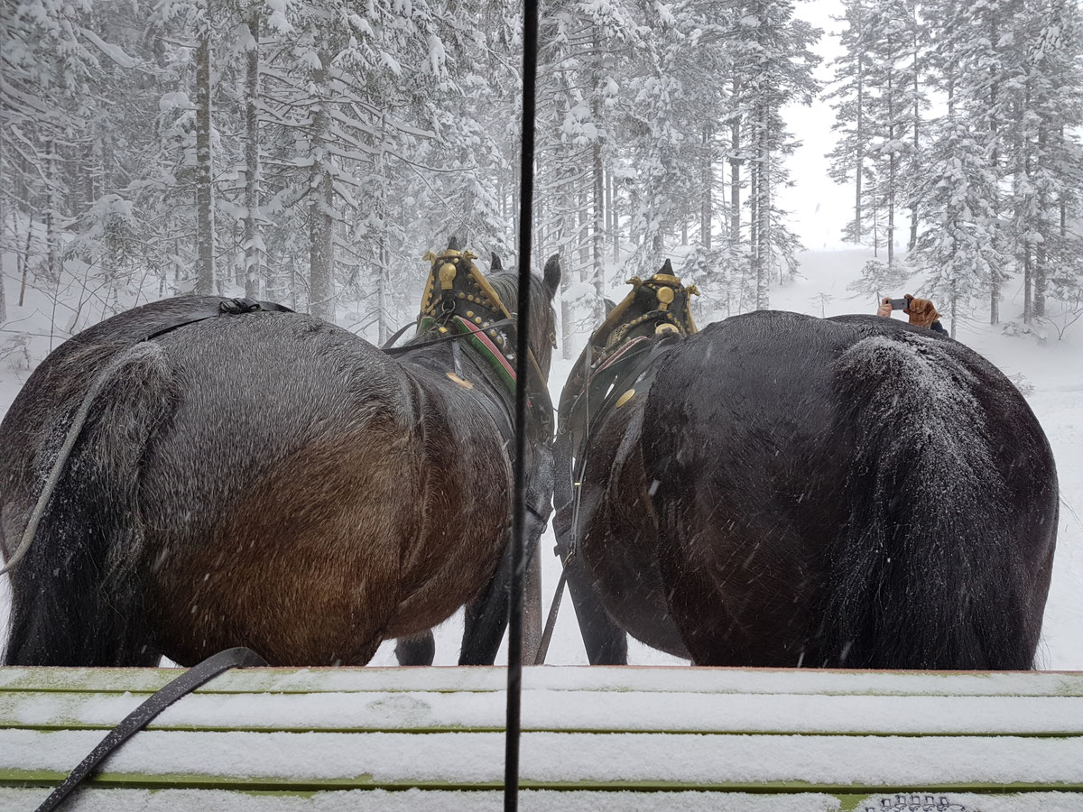 Winterimpressionen 2016/2017 – Bild 1