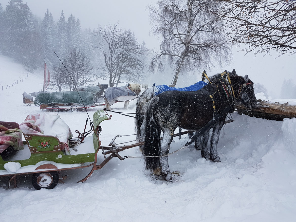 Winterimpressionen 2016/2017 – Bild 2