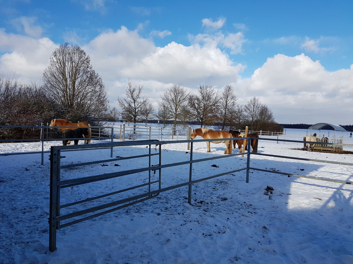 Winterimpressionen 2016/2017 – Bild 3