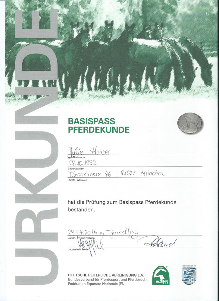 Reittherapie – Eindruck 3